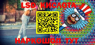 спиды Кингисепп