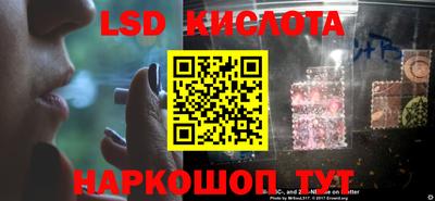 спиды Кингисепп