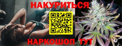 спиды Кингисепп