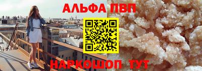 спиды Кингисепп