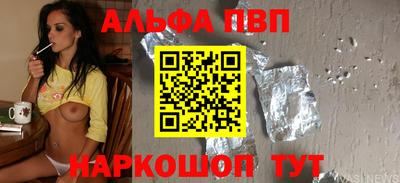 спиды Кингисепп