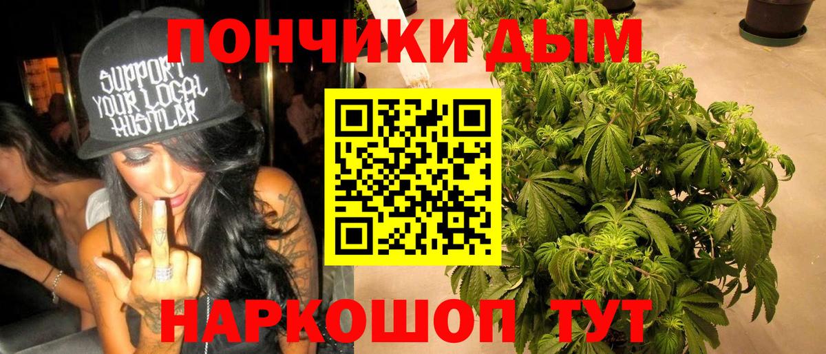 Каннабис OG Kush Кстово
